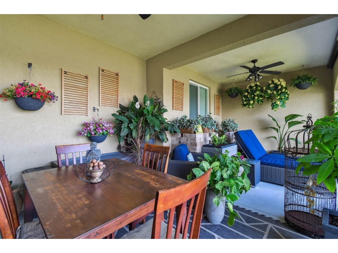 17 Franklin Court S #C Saint Petersburg FL 33711 TB8447840 image24