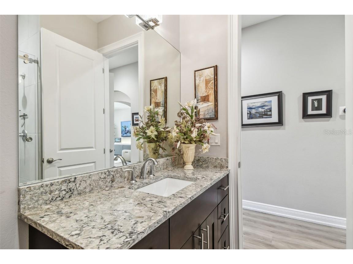 17 Franklin Court S #C Saint Petersburg FL 33711 TB8447840 image37