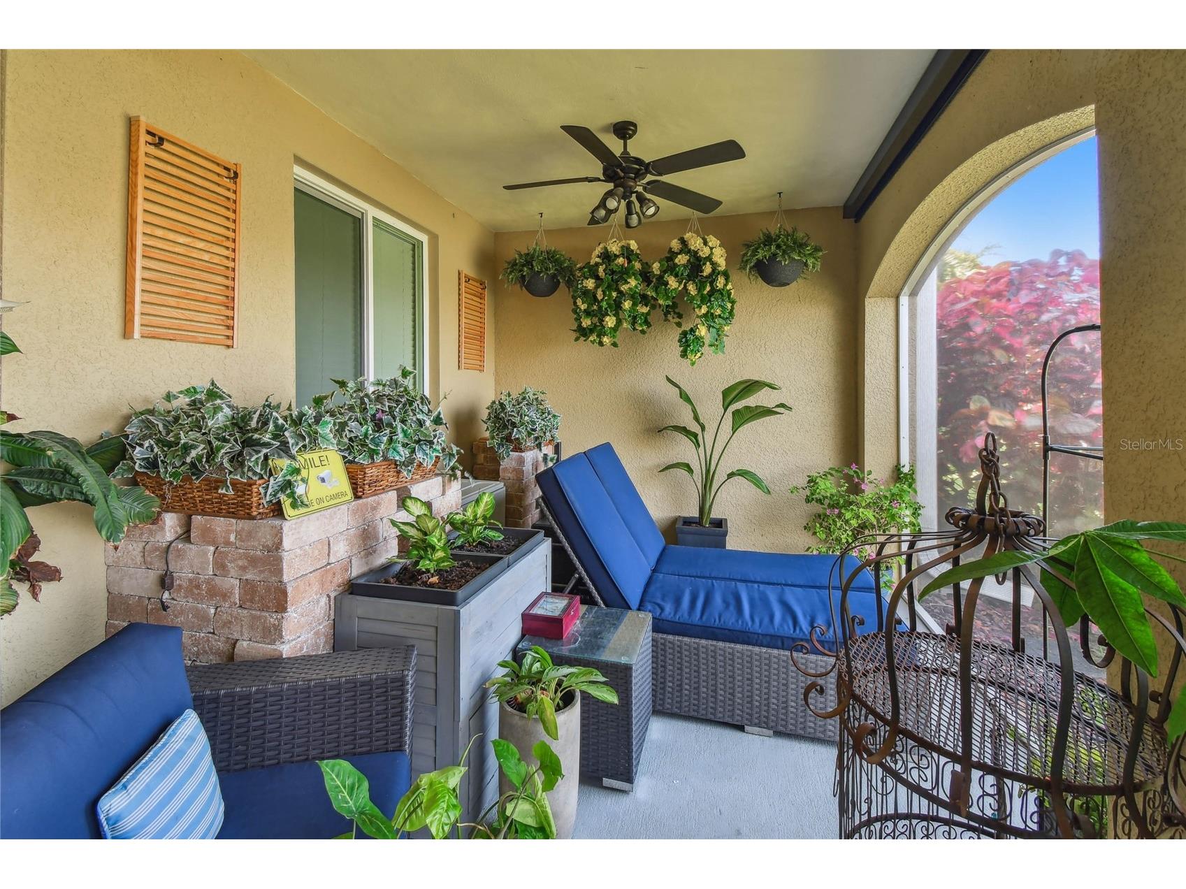 17 Franklin Court S #C Saint Petersburg FL 33711 TB8475819 image25