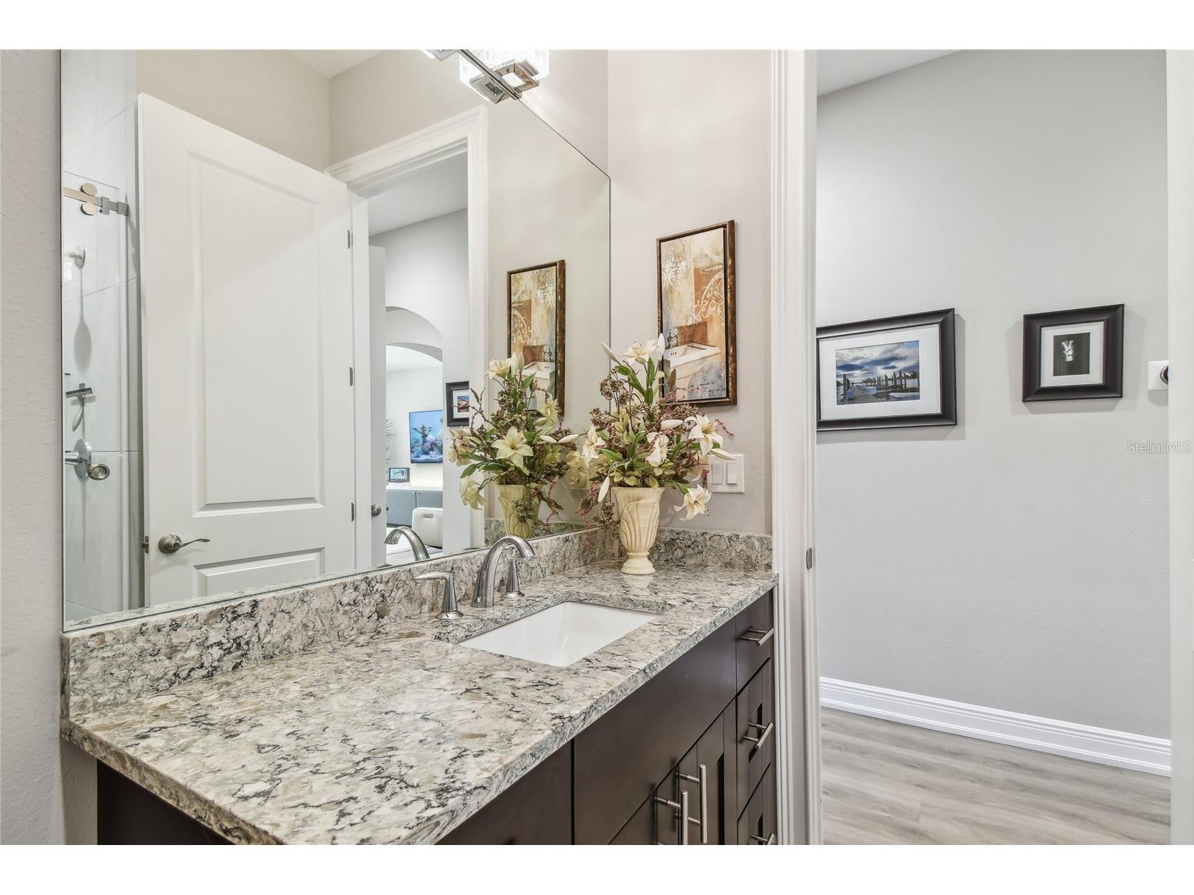 17 Franklin Court S #C Saint Petersburg FL 33711 TB8475819 image37