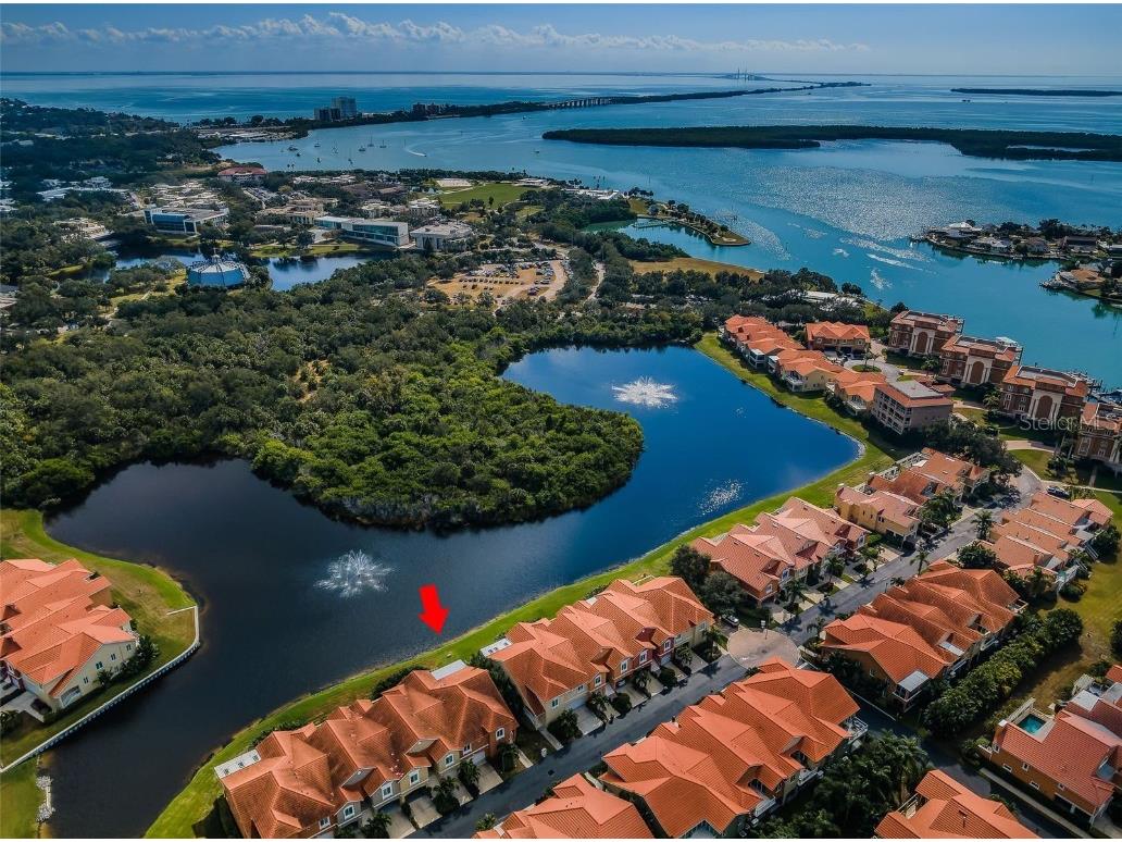 17 Franklin Court S #D Saint Petersburg FL 33711 TB8449272 image1