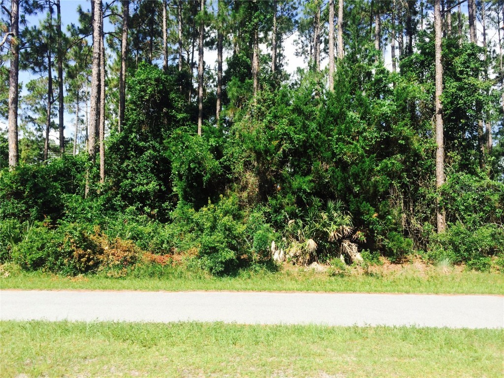 17 Kaufman Place Palm Coast FL 32164 FC307703 image1