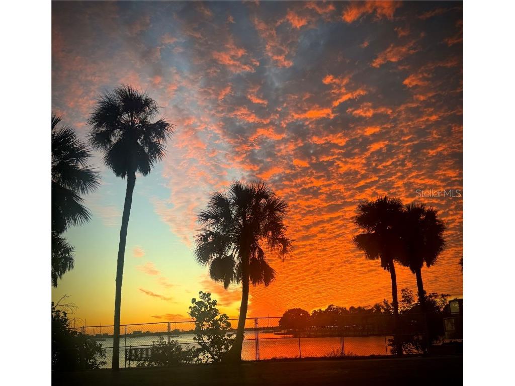 17 Lafitte Drive Nokomis FL 34275 - SHACKETT CREEK N6142182 image47