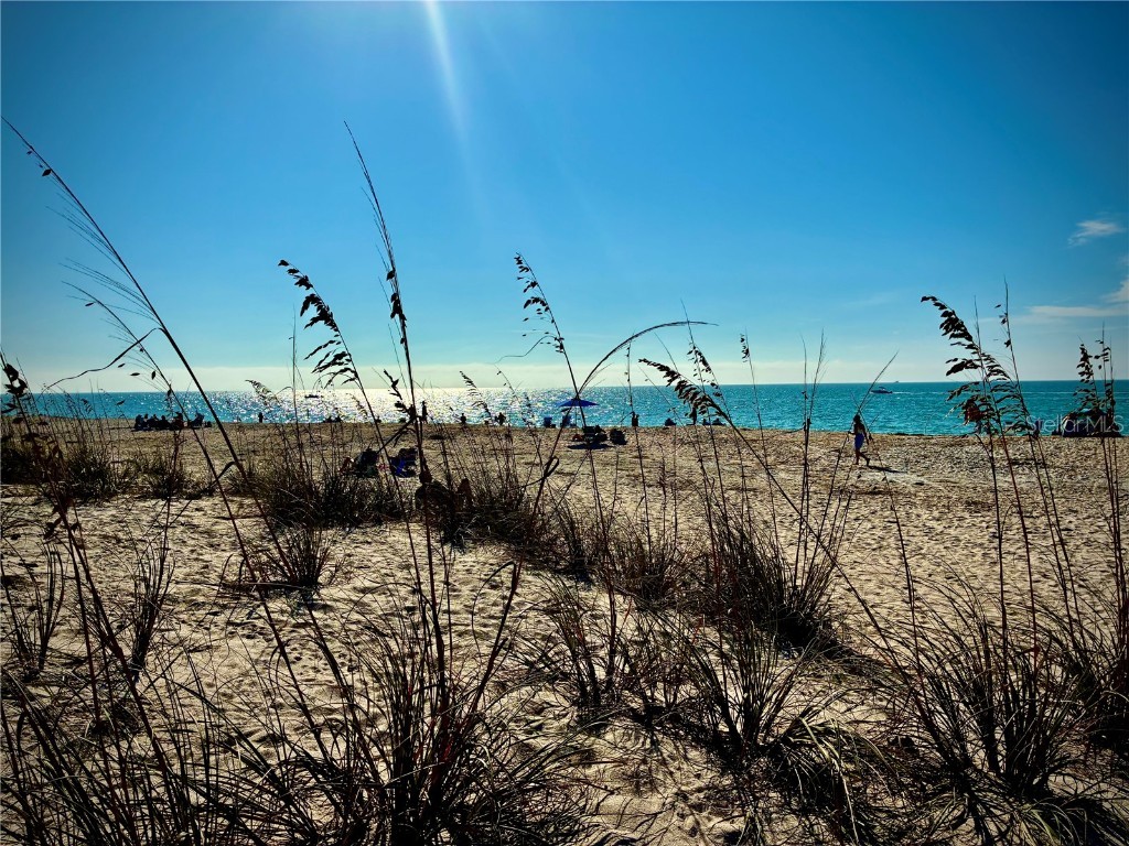 17 Lafitte Drive Nokomis FL 34275 - SHACKETT CREEK N6142182 image50