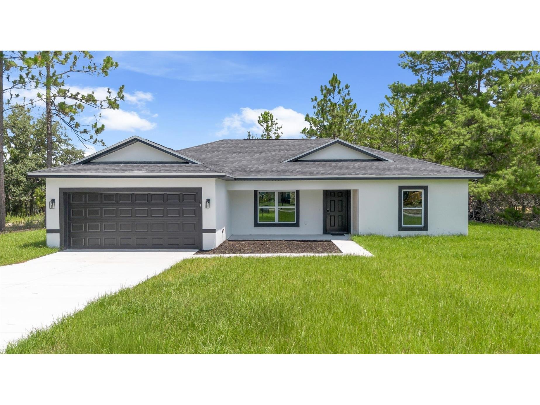 17 Malauka Run Drive Ocklawaha FL 32179 O6418207 image3