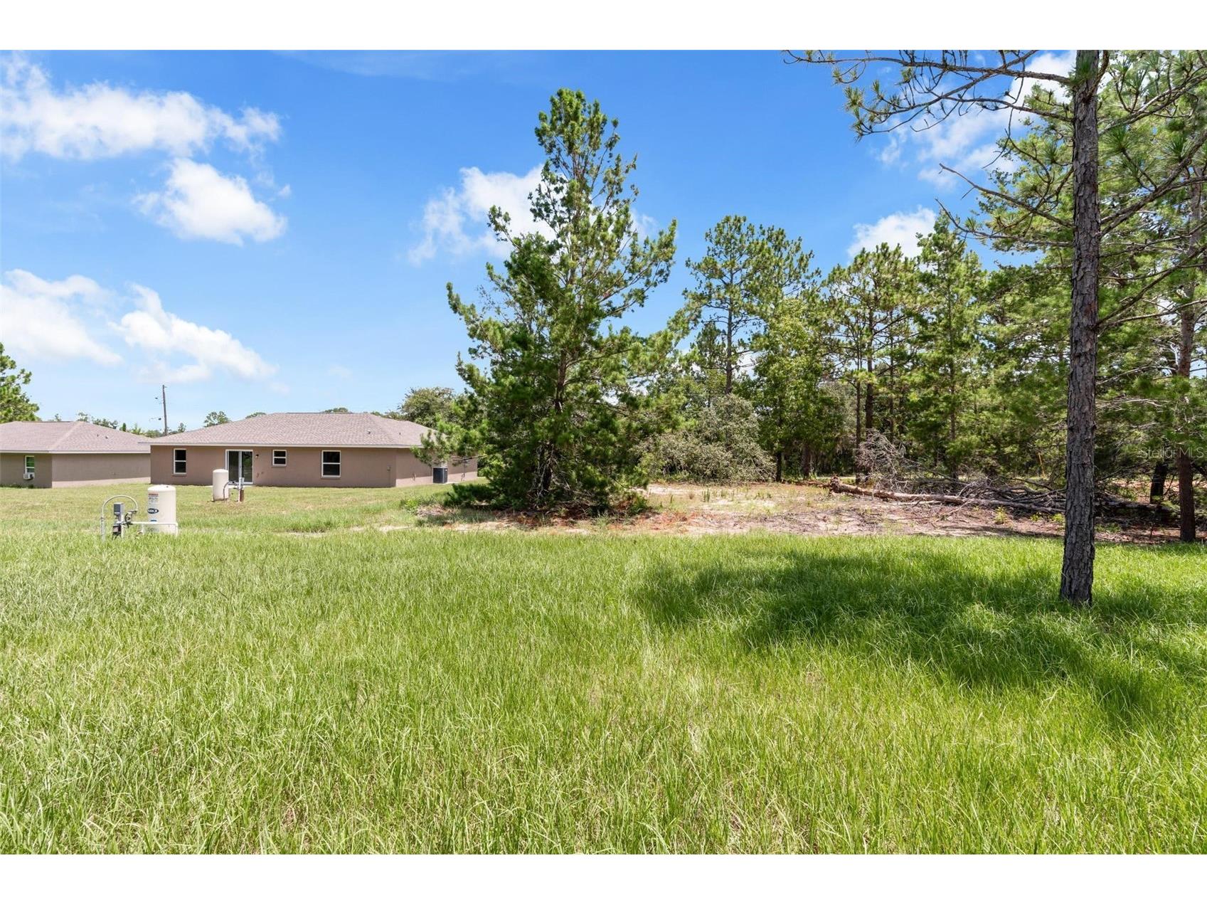 17 Malauka Run Drive Ocklawaha FL 32179 O6418207 image38
