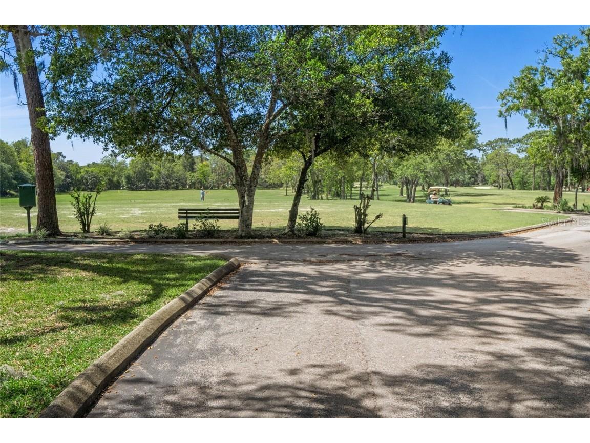 17 Myosotis Court Homosassa FL 34446 TB8374445 image57