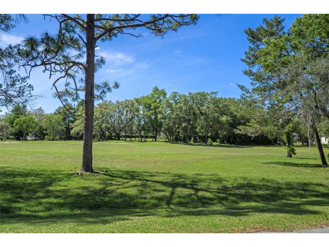 17 Myosotis Court Homosassa FL 34446 TB8374445 image58