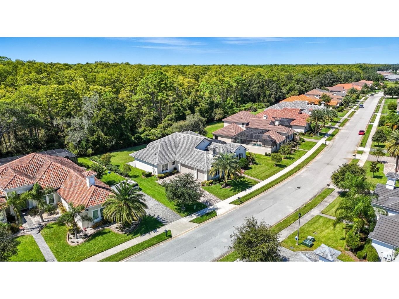 17 New Leatherwood Drive Palm Coast FL 32137 FC313066 image3