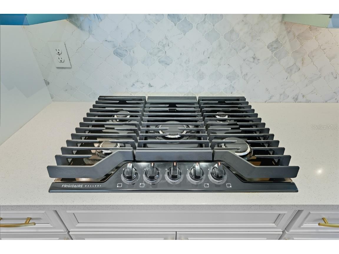 17 New Leatherwood Drive Palm Coast FL 32137 FC313066 image33