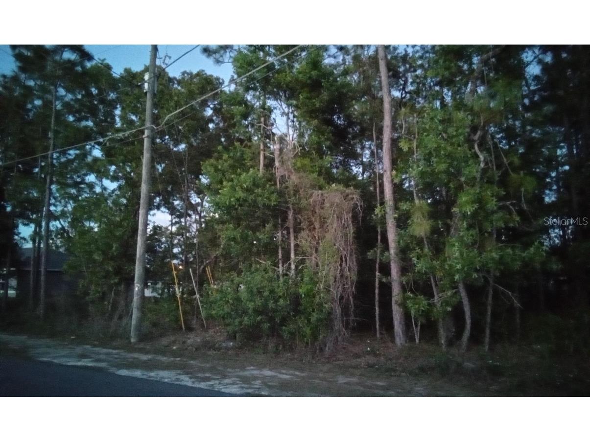 17 Pecan Drive Pass #20 Ocala FL 34472 O6111982 image1