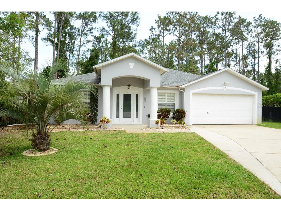 17 Ramshorn Place Palm Coast FL 32164 FC299352 image1