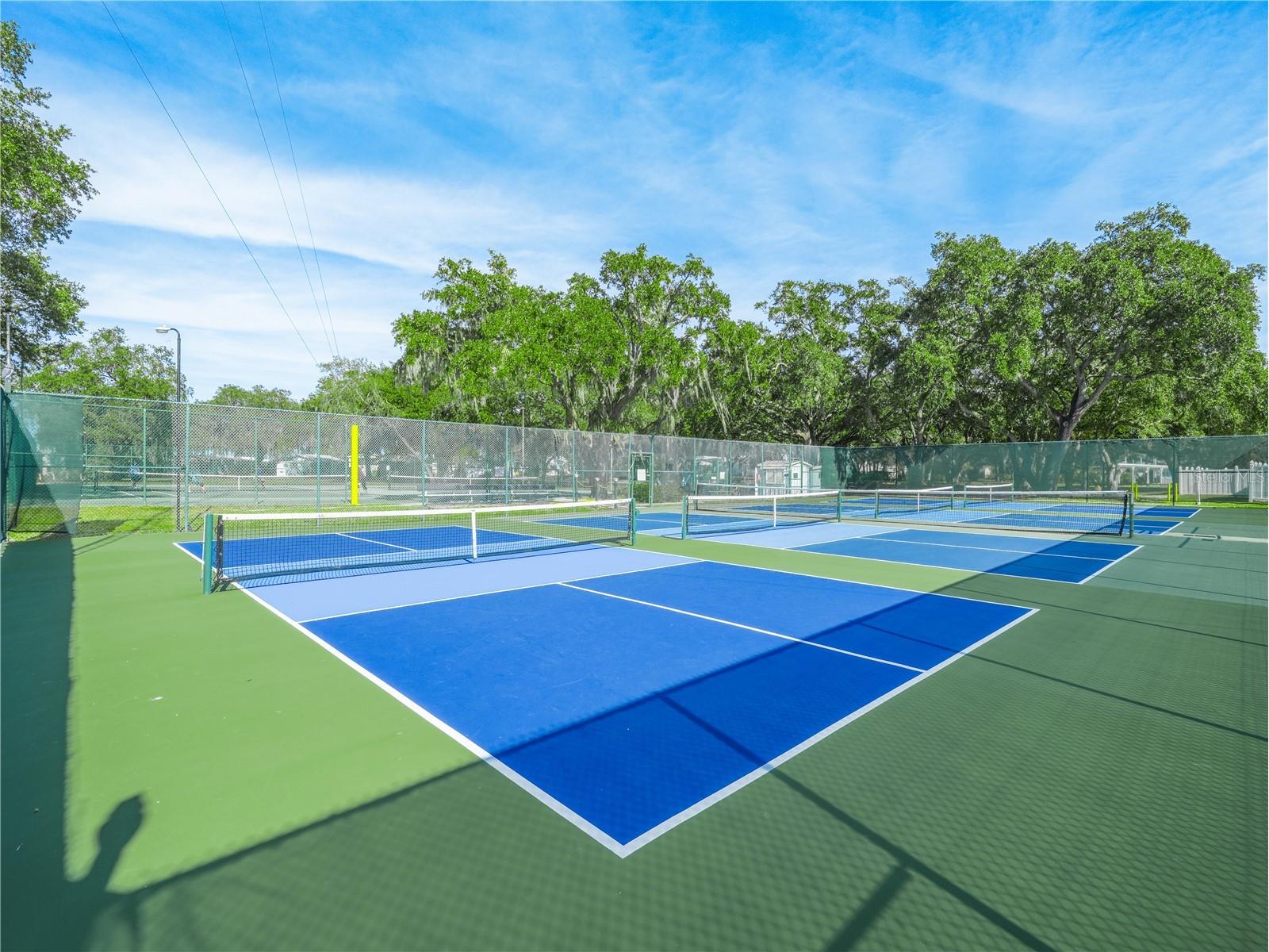 17 Red Quill Circle Lake Wales FL 33898 - SADDLEBAG LAKE K4903003 image49