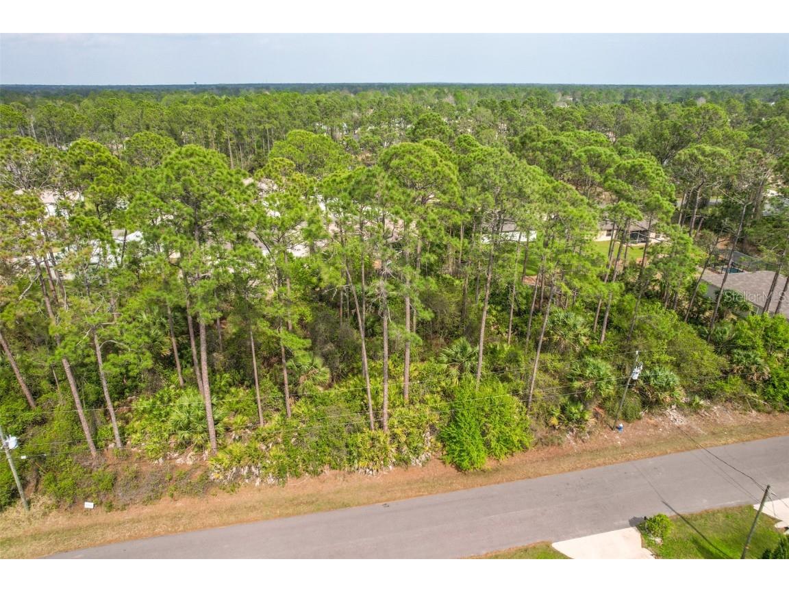 17 Richland Lane Palm Coast FL 32164 V4928964 image1