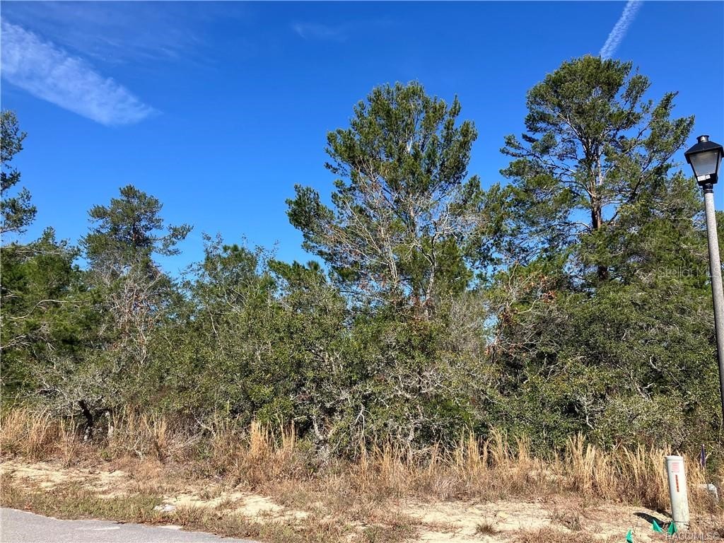 17 Rudbeckia Court Homosassa FL 34446 OM702367 image2