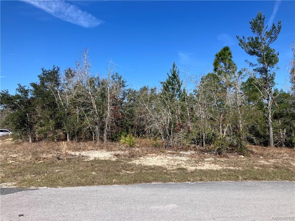 17 Rudbeckia Court Homosassa FL 34446 OM702367 image3