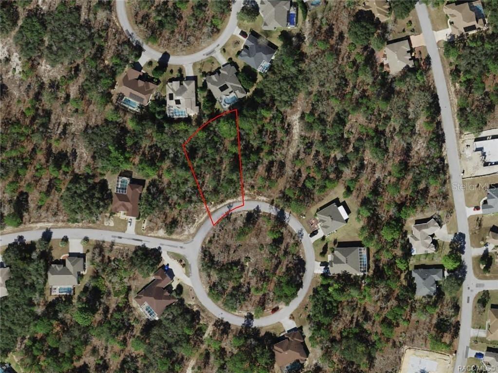 17 Rudbeckia Court Homosassa FL 34446 OM702367 image4