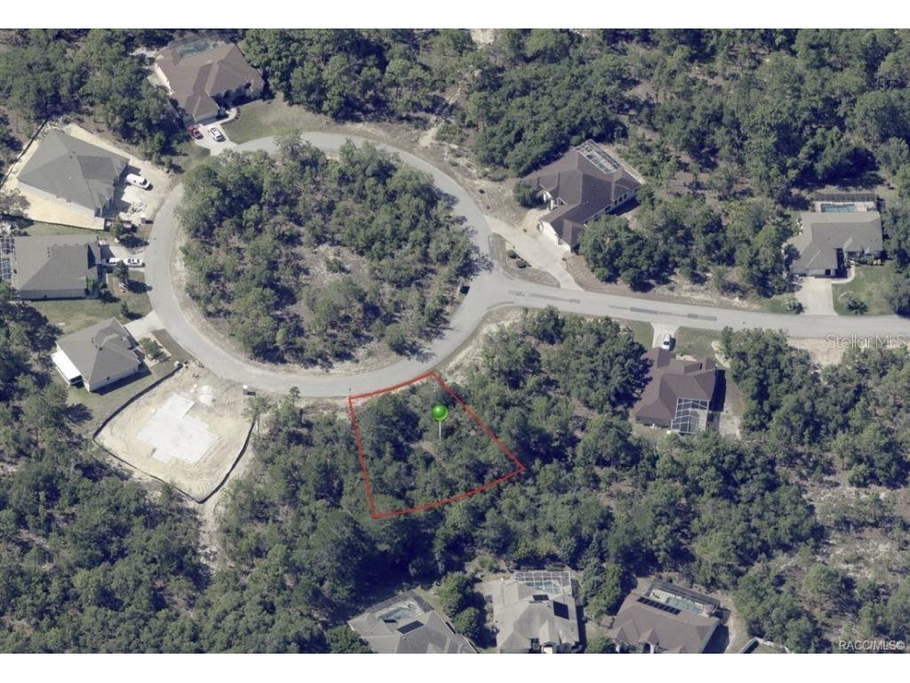 17 Rudbeckia Court Homosassa FL 34446 OM702367 image5