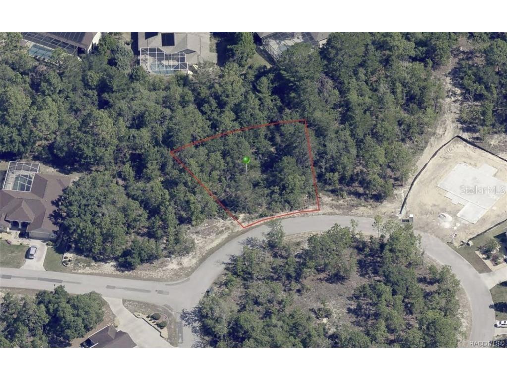 17 Rudbeckia Court Homosassa FL 34446 OM702367 image7