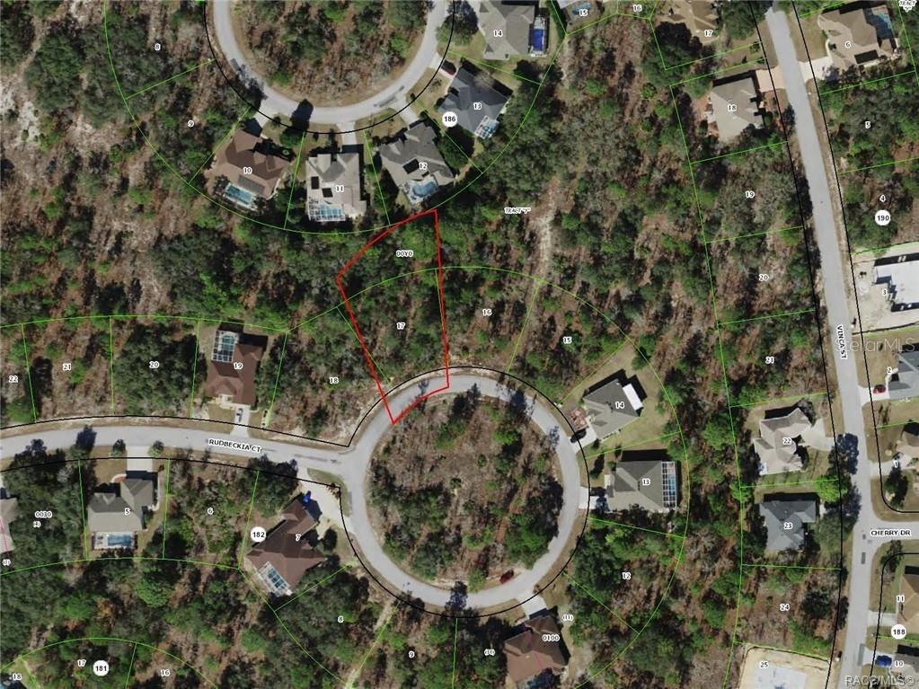 17 Rudbeckia Court Homosassa FL 34446 OM702367 image8