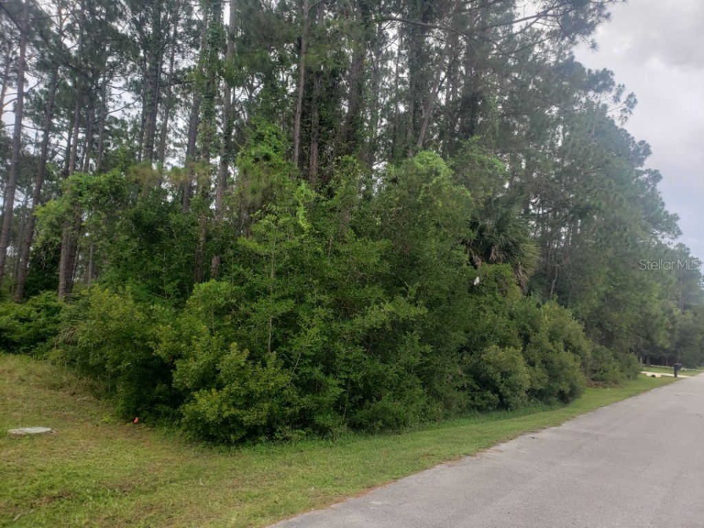 17 Ryall Lane Palm Coast FL 32164 FC299122 image1