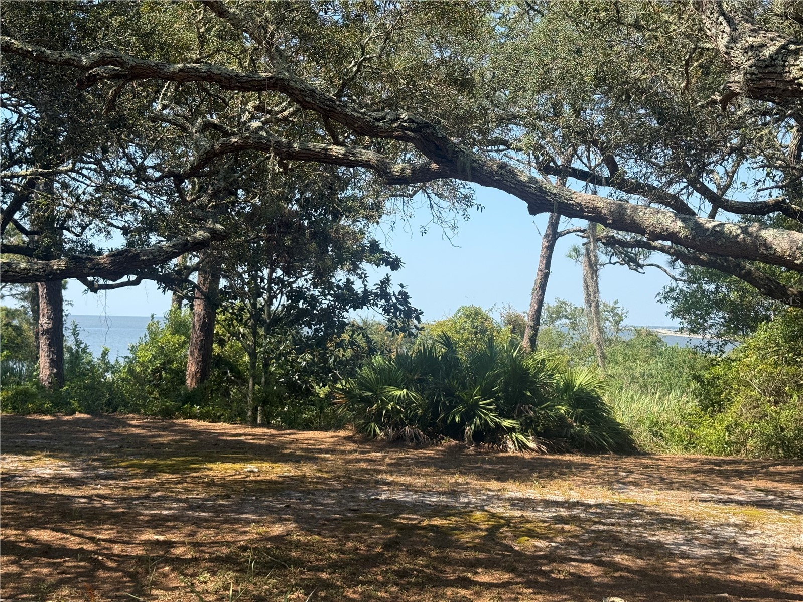 17 S Bayshore Drive Eastpoint FL 32328 - APALACHICOLA BAY OM709978 image5