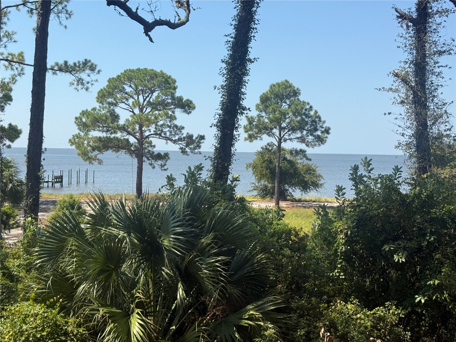 17 S Bayshore Drive Eastpoint FL 32328 - APALACHICOLA BAY OM709978 image6
