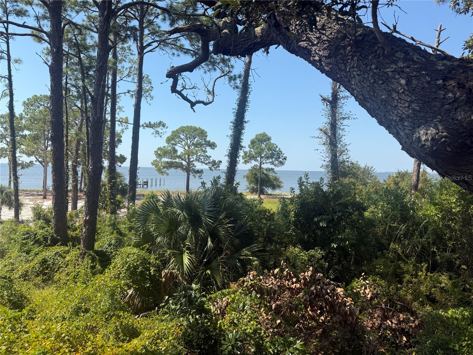 17 S Bayshore Drive Eastpoint FL 32328 - APALACHICOLA BAY OM709978 image7