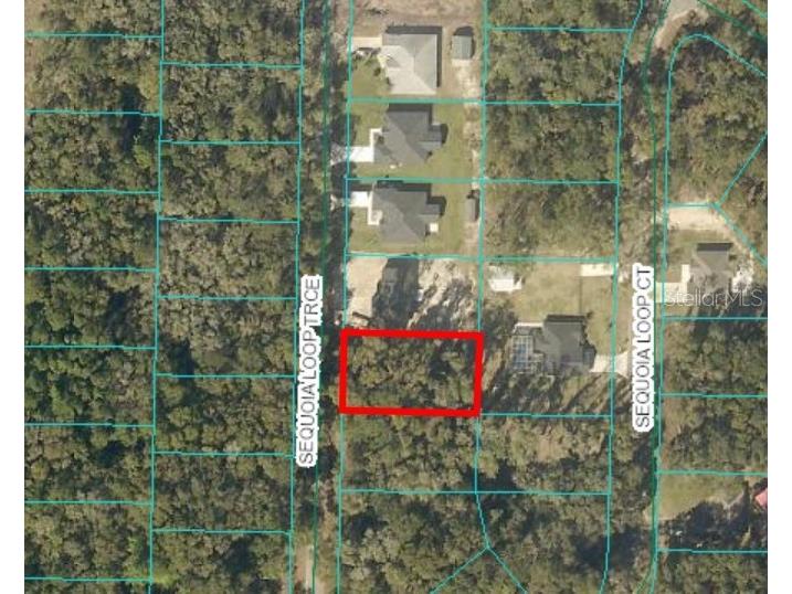 17 Sequoia Trace Ocklawaha FL 32179 O6324939 image1