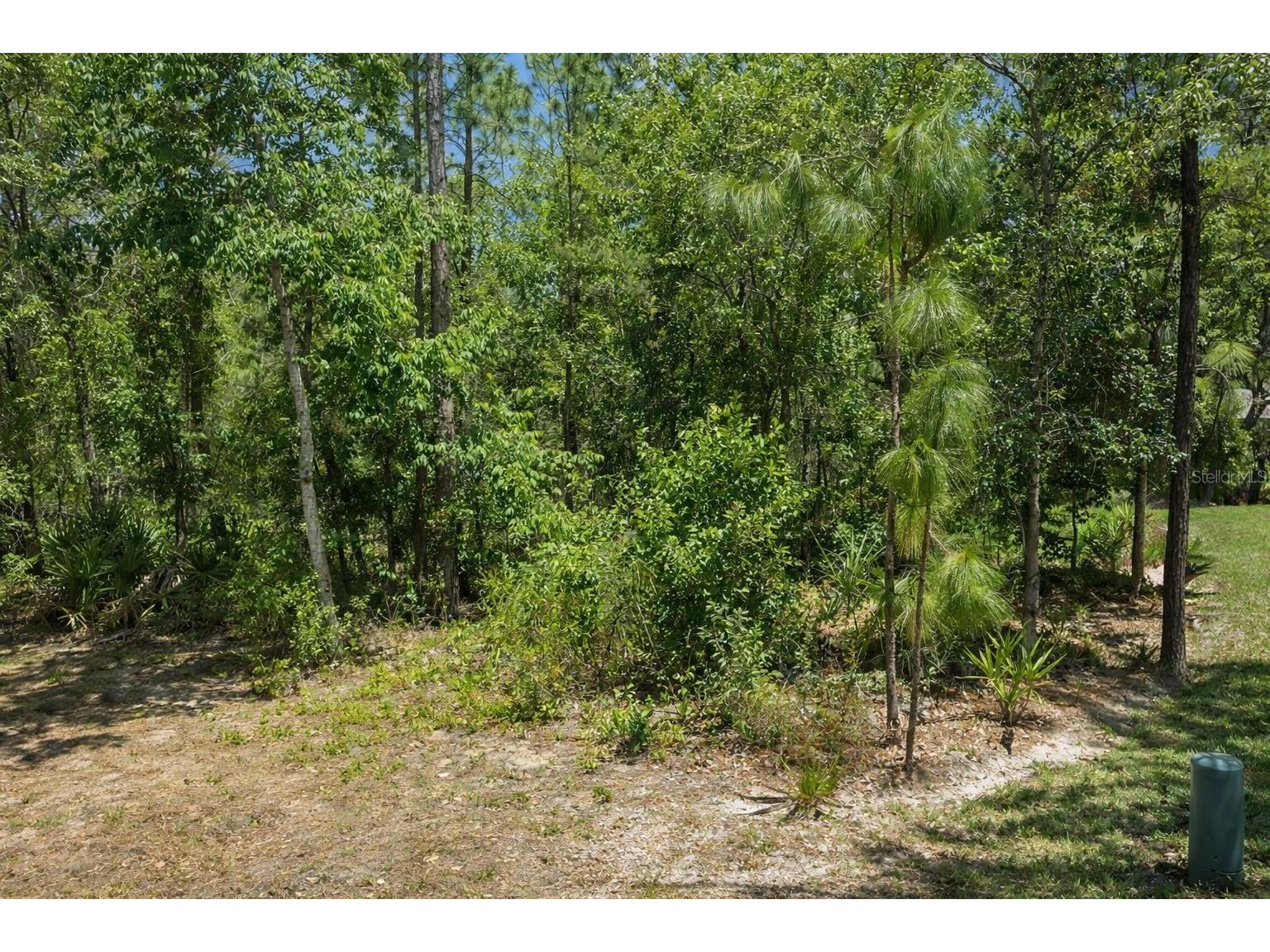 17 Speceberry Circle Homosassa FL 34446 O6395288 image3