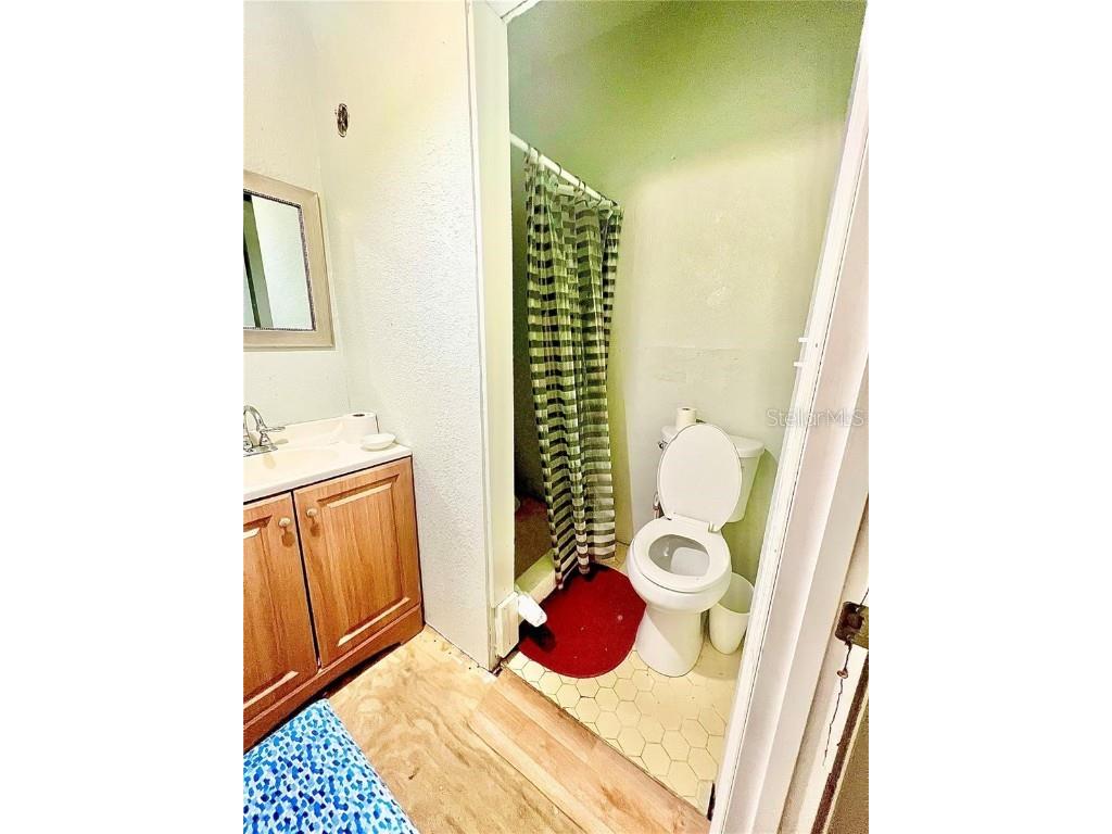 17 Wilkes Street Avon Park FL 33825 L4954145 image8