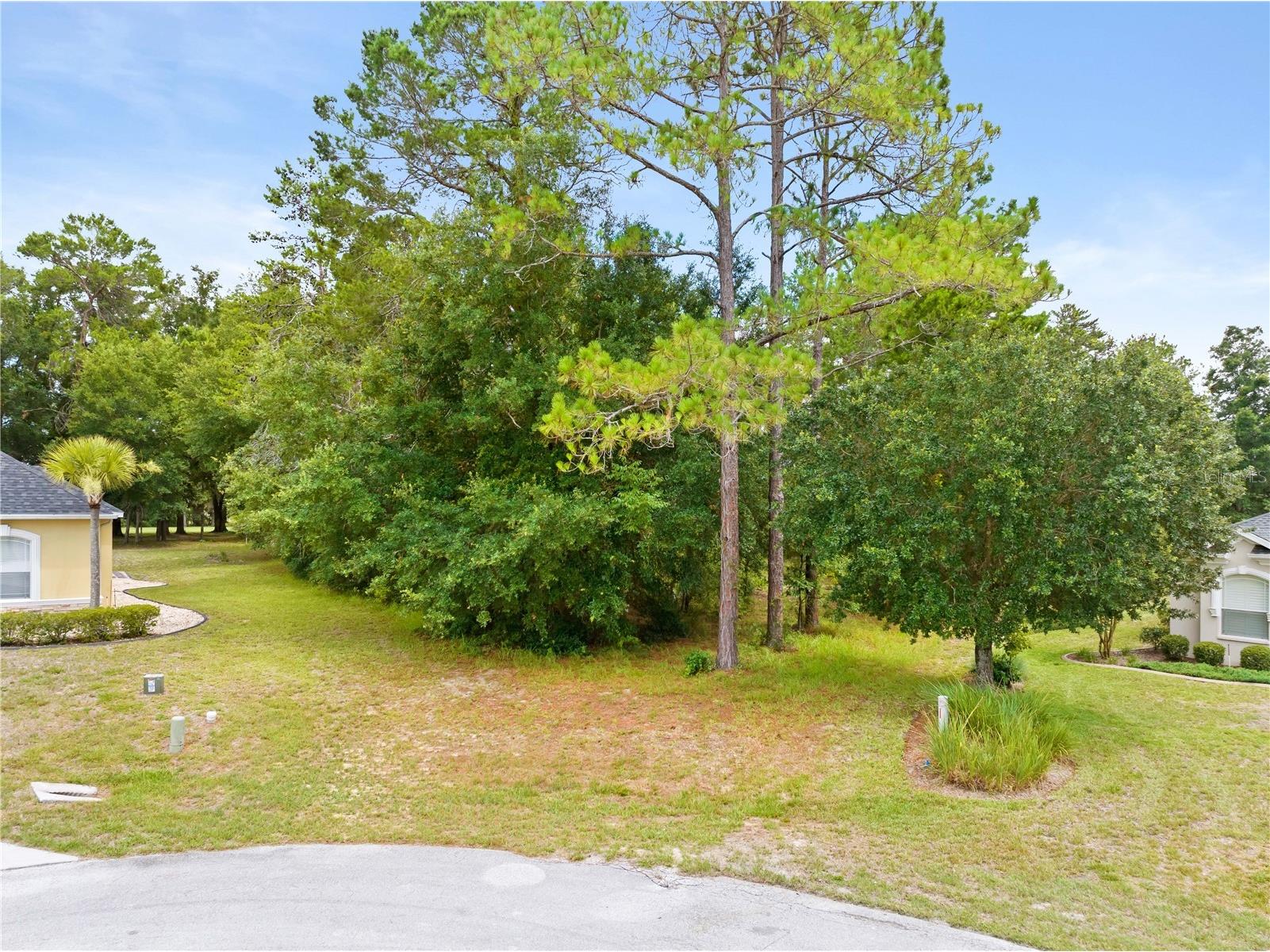 17 Woodlee Court S Homosassa FL 34446 W7887233 image1