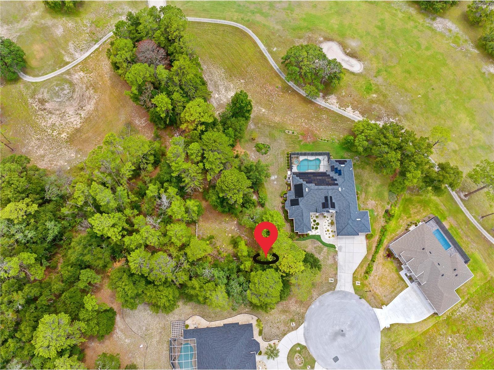 17 Woodlee Court S Homosassa FL 34446 W7887233 image2