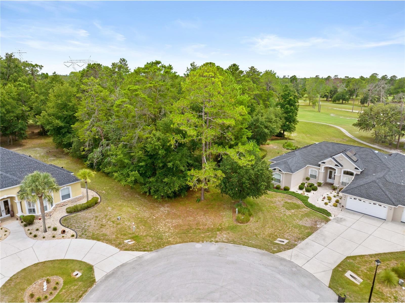 17 Woodlee Court S Homosassa FL 34446 W7887233 image9