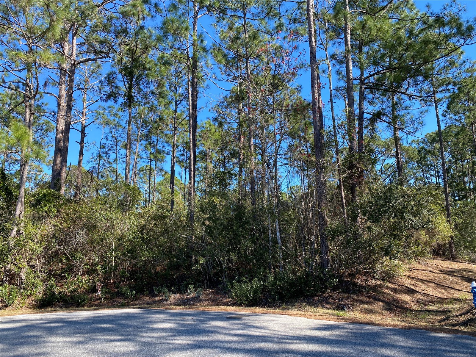 17 Zorlou Court Palm Coast FL 32164 FC316449 image1