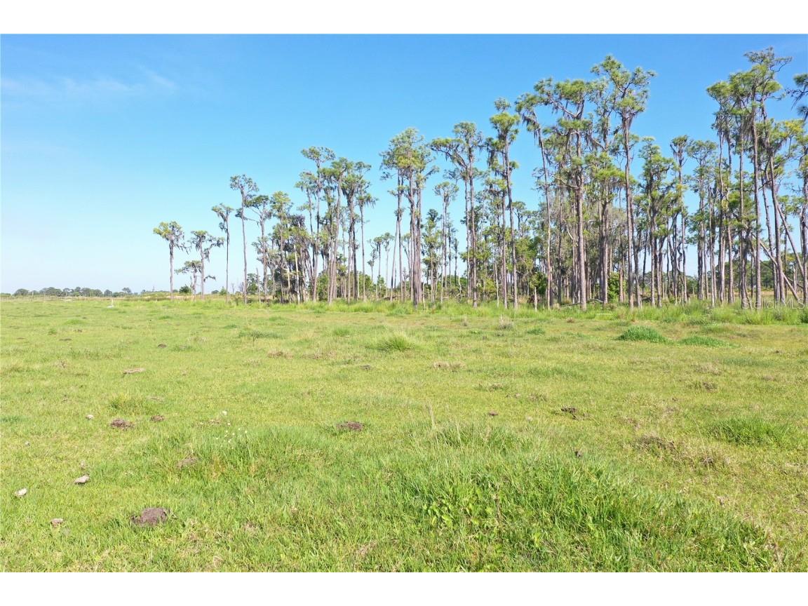 170 Angus Road, Venus, FL, 33960 MLS OK223872 Edina Realty