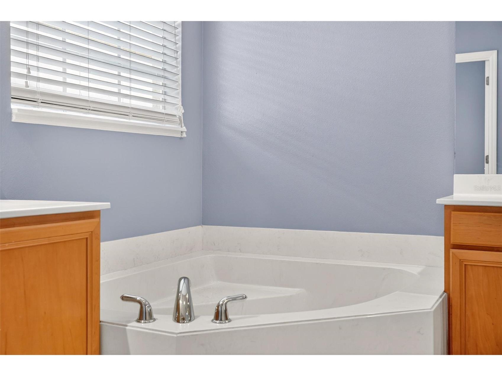 170 Cedar Springs Circle Debary FL 32713 O6390586 image44