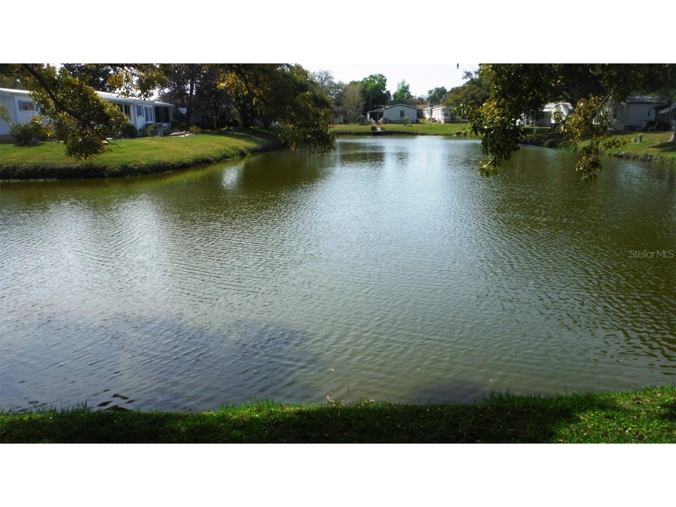 170 Clubview Drive #6 Safety Harbor FL 34695 U8235055 image1