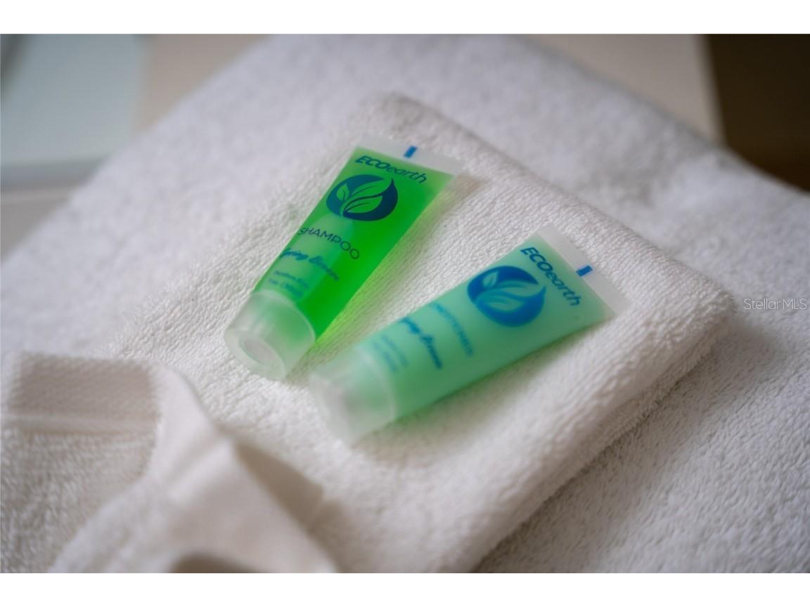 170 Essex Place Davenport FL 33896 S5136892 image31