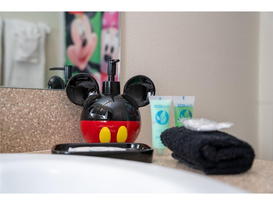 170 Essex Place Davenport FL 33896 S5136892 image44