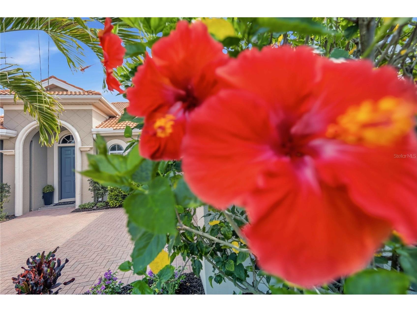 170 Montelluna Drive North Venice FL 34275 N6144050 image4