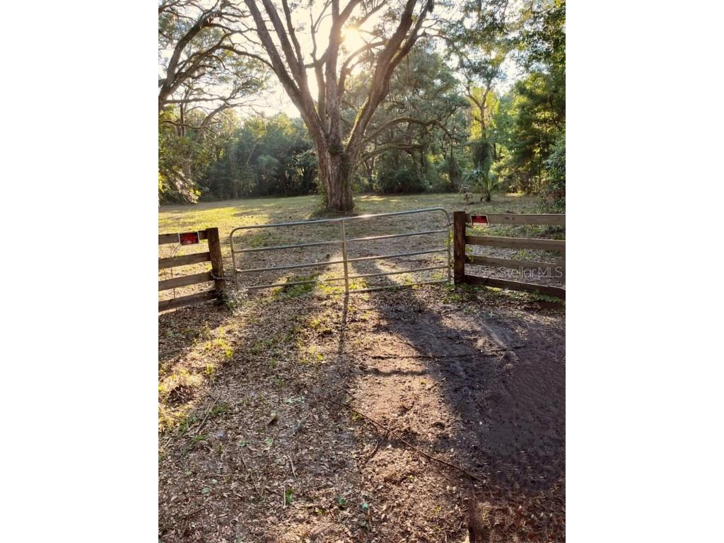 170 NE 544th Street Old Town FL 32680 P4925957 image1