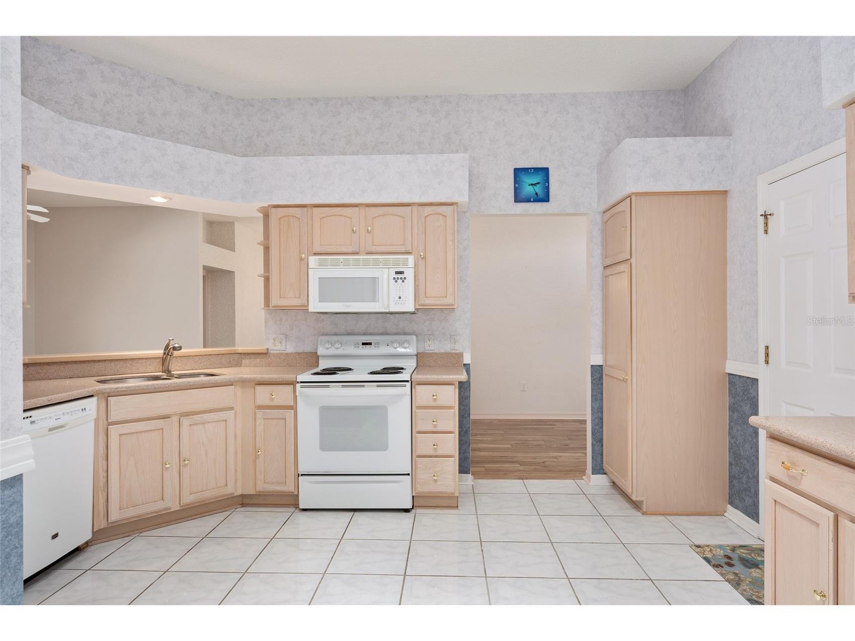 170 Palermo Place The Villages FL 32159 O6400750 image18
