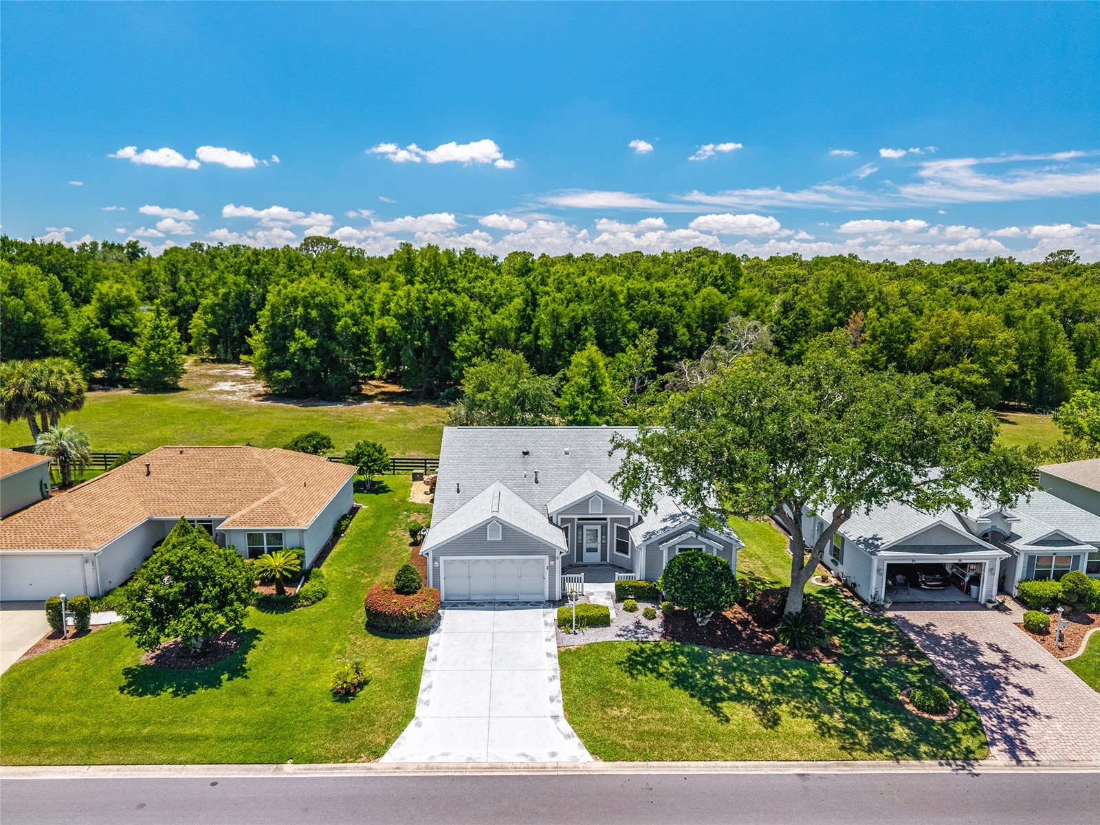 170 Palermo Place The Villages FL 32159 O6400750 image37