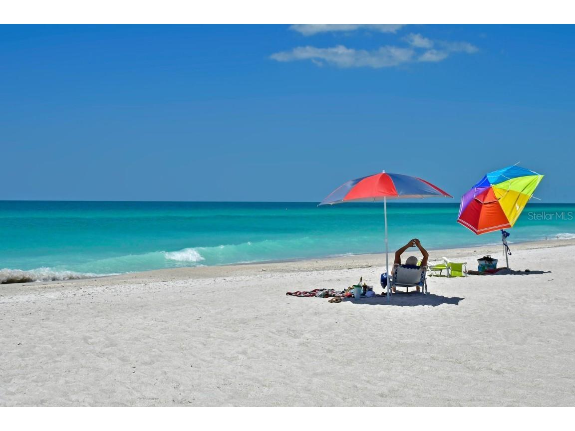 170 Roosevelt Drive #5 Sarasota FL 34236 A4651143 image17