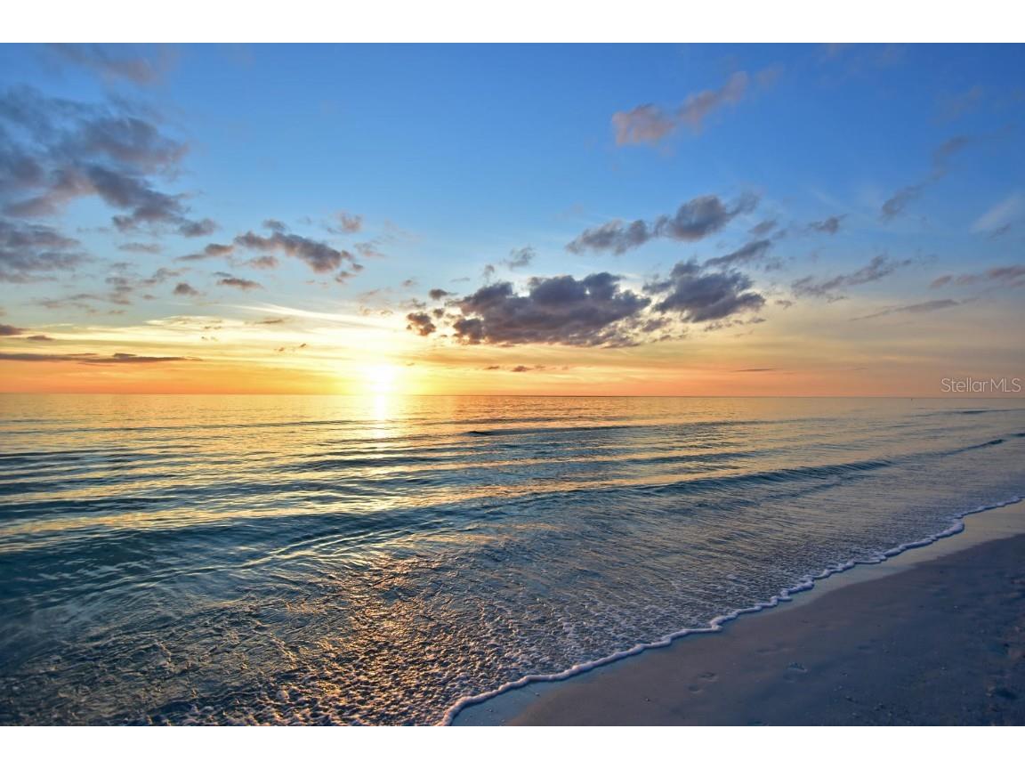 170 Roosevelt Drive #5 Sarasota FL 34236 A4651143 image18