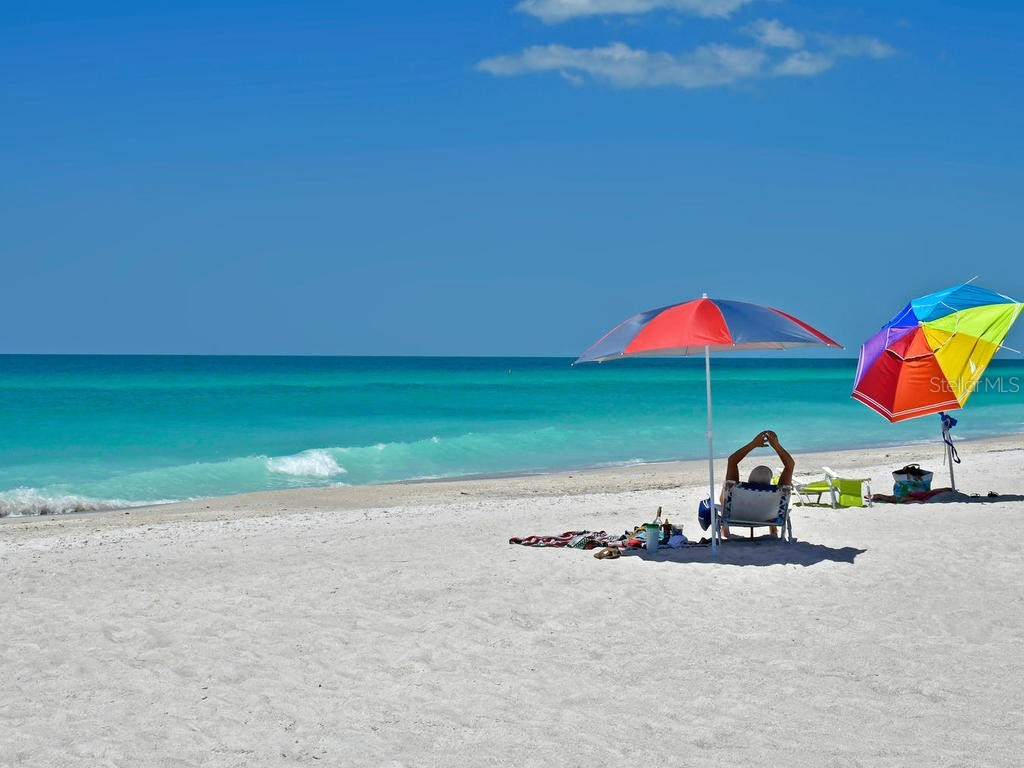170 Roosevelt Drive #8 Sarasota FL 34236 A4693900 image22