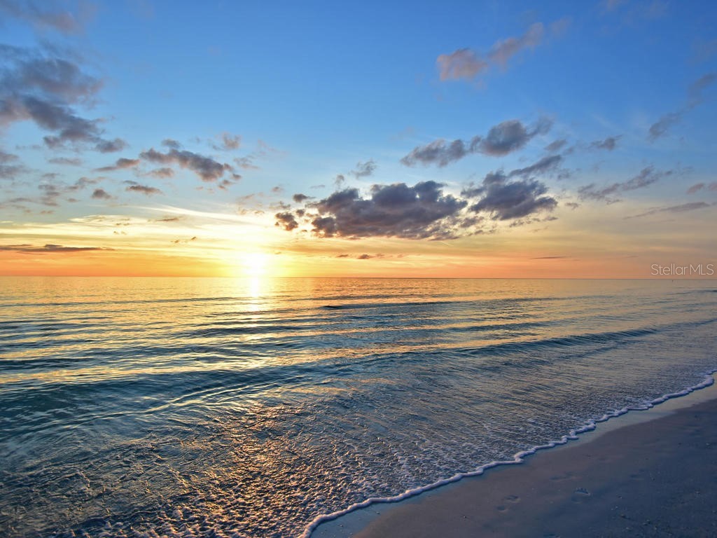 170 Roosevelt Drive #8 Sarasota FL 34236 A4693900 image23