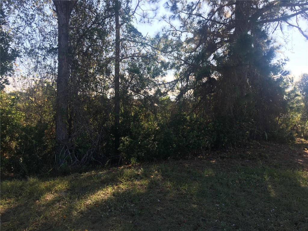 170 Tournament Road Rotonda West FL 33947 O6335107 image4