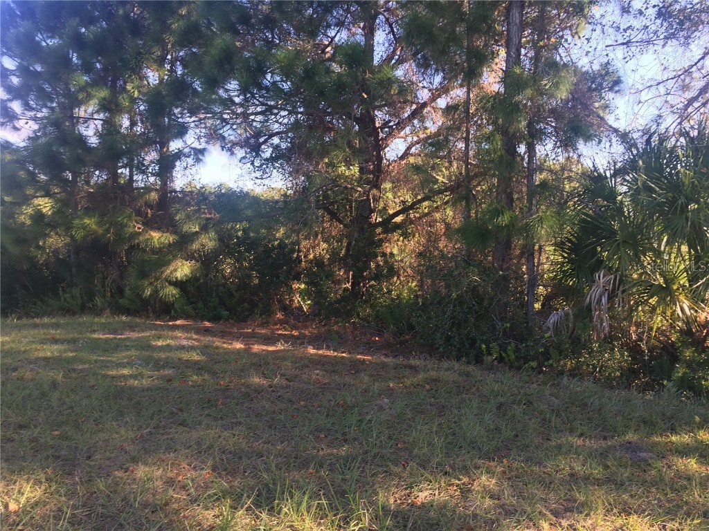 170 Tournament Road Rotonda West FL 33947 O6335107 image5